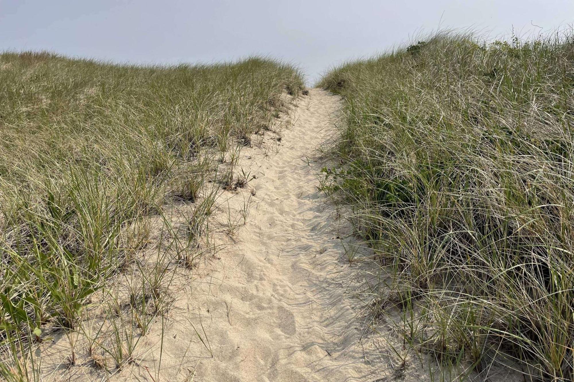 Sandy Clydesdale: Sagamore Beach Sandwich Villa Exteriör bild